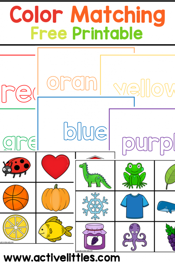 Free Color Sorting Printable Activity For Preschoolers Worksheets Library