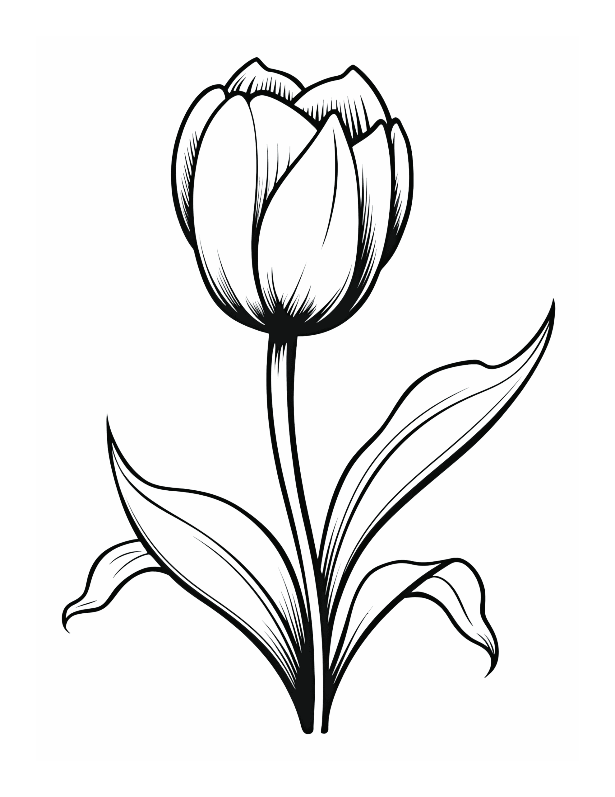 Free Flower Coloring Page 87 Free Coloring Adventure