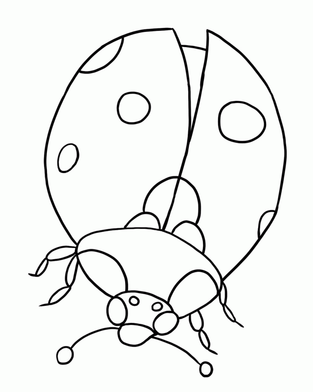 free ladybug coloring pages