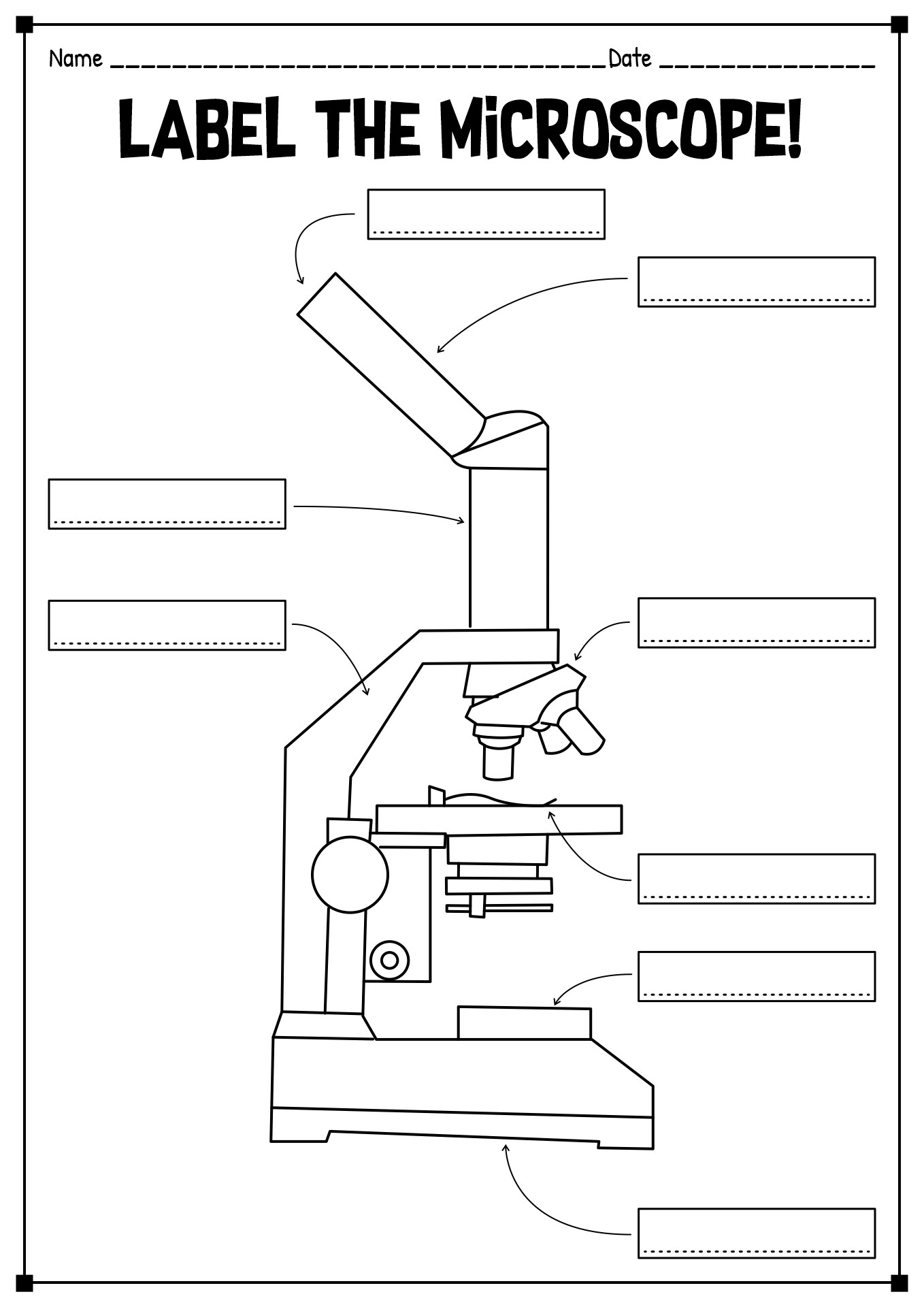 microscope worksheet label