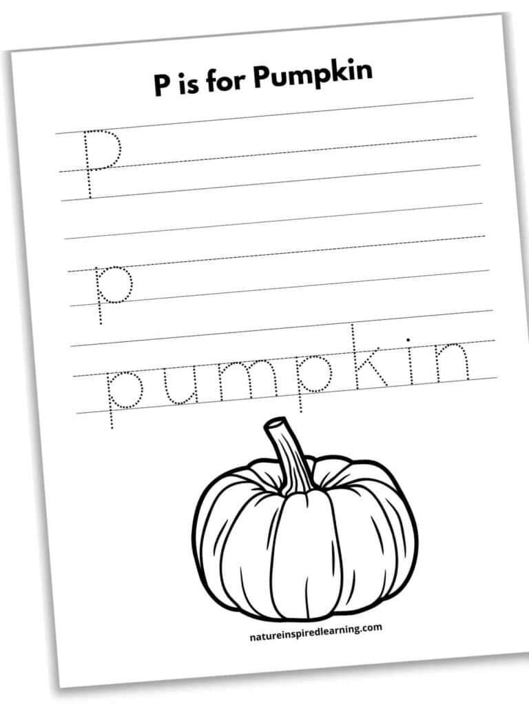 letter p tracing worksheets
