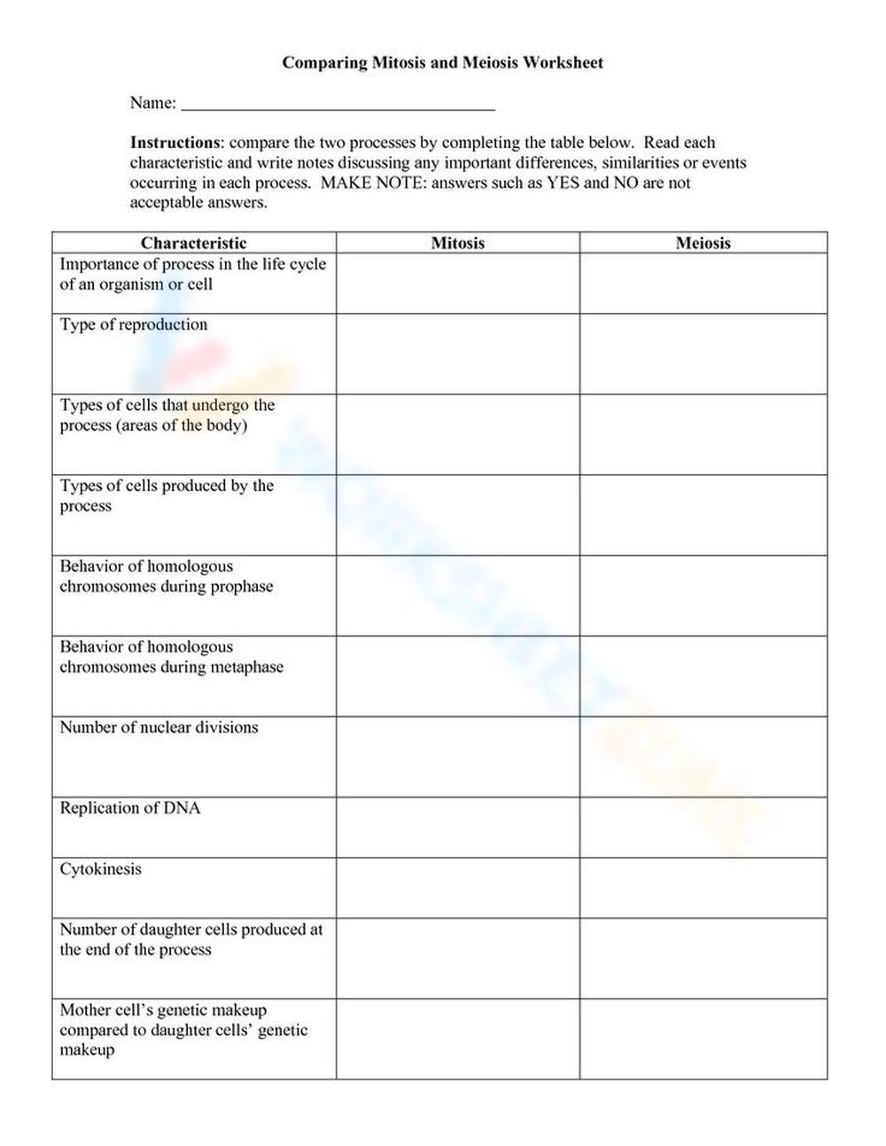 Free Mitosis Meiosis Comparison Worksheet Download Free Mitosis 