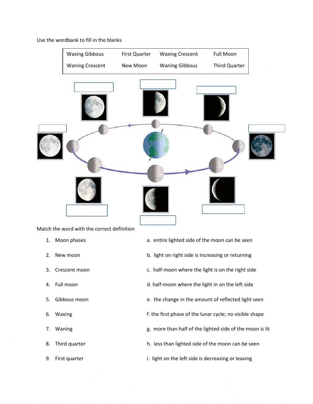 Free Moon Phases Posters For Kids Classroom Worksheets Library
