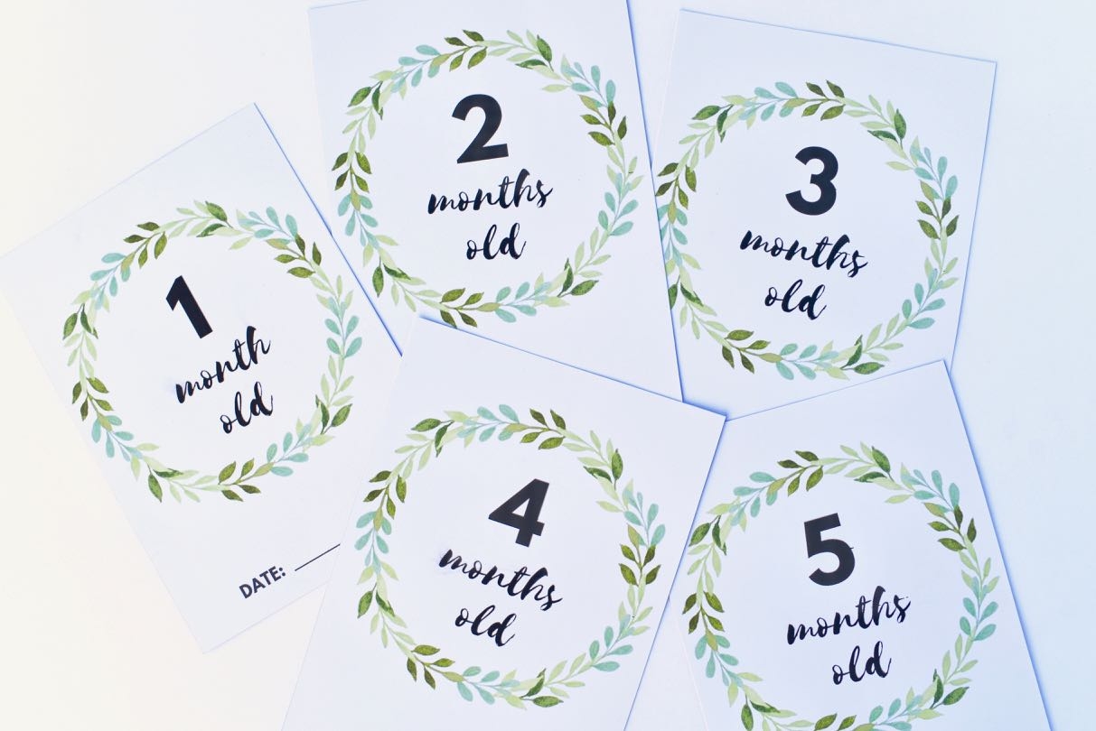 Free Printable Baby Milestone Cards Shabby Chic Flowers 41 OFF