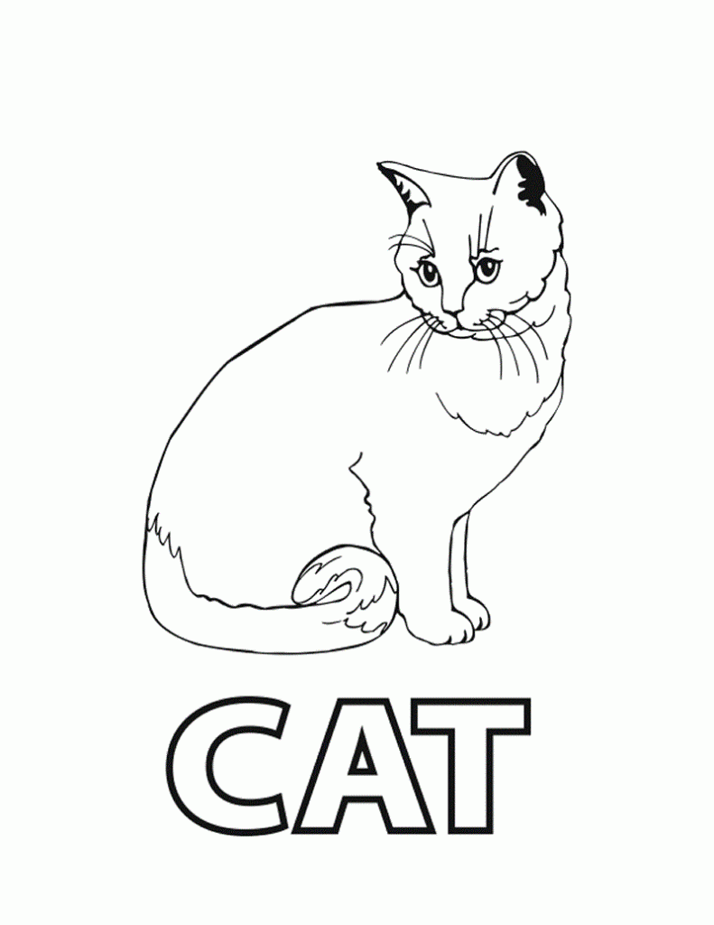 Cat Color Pages To Print