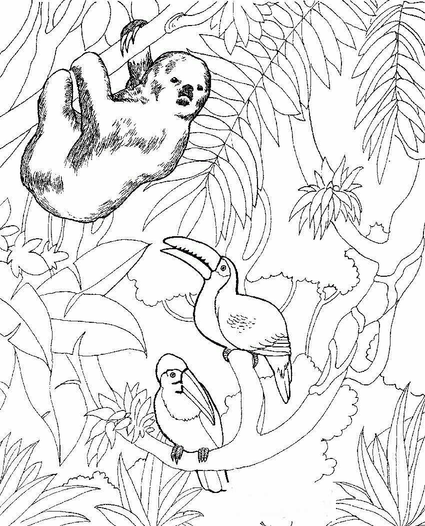free printable coloring pages of zoo animals