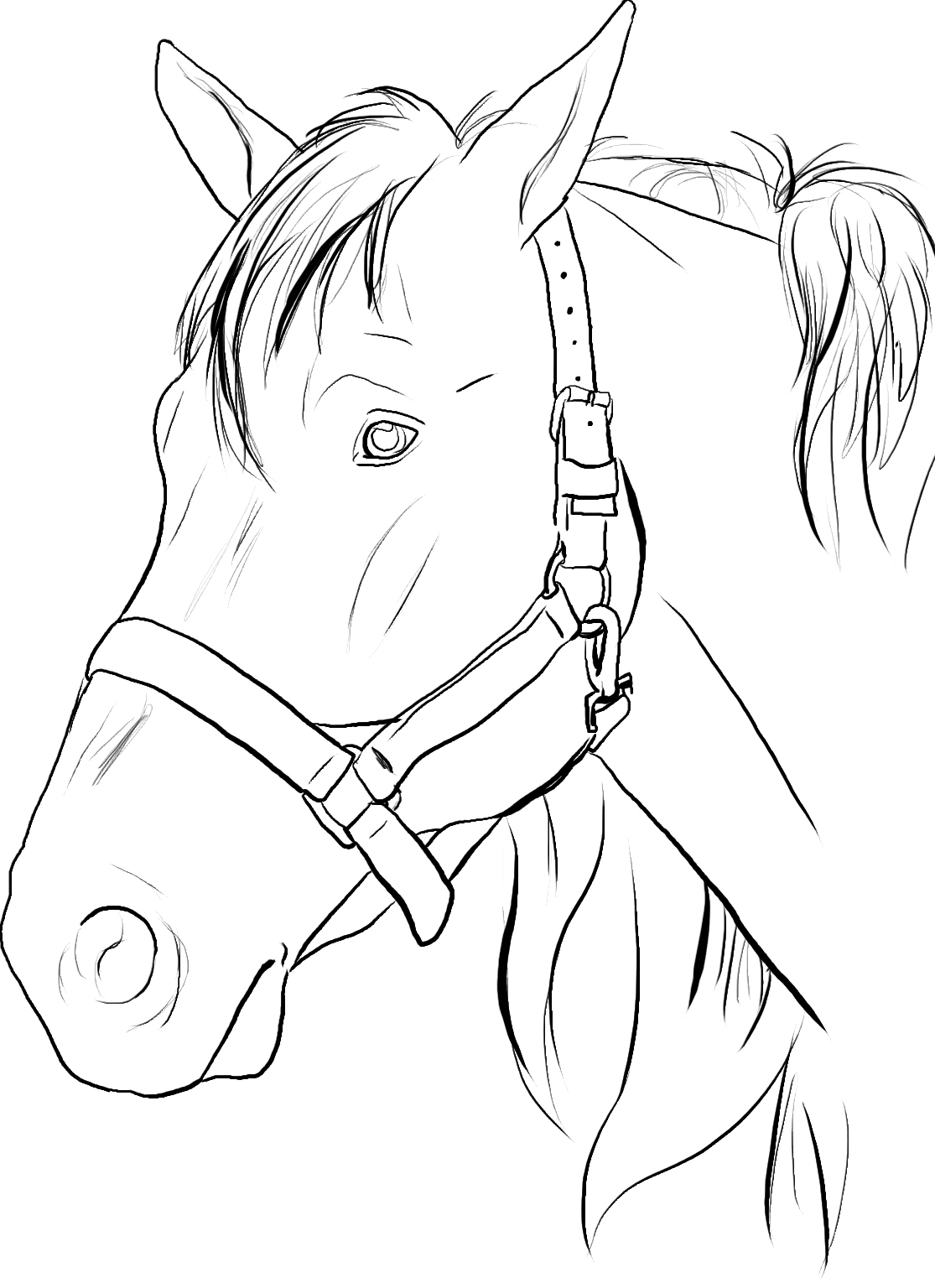 Coloring Horse Pages