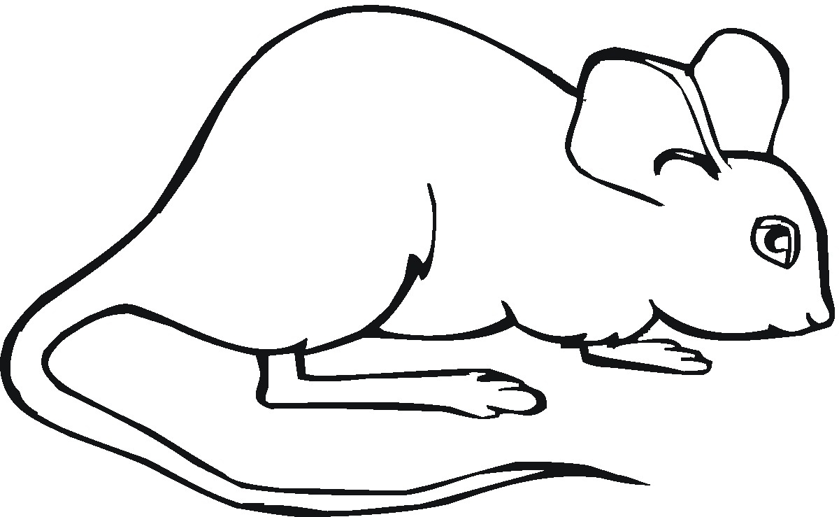 Coloring Pages Mouse