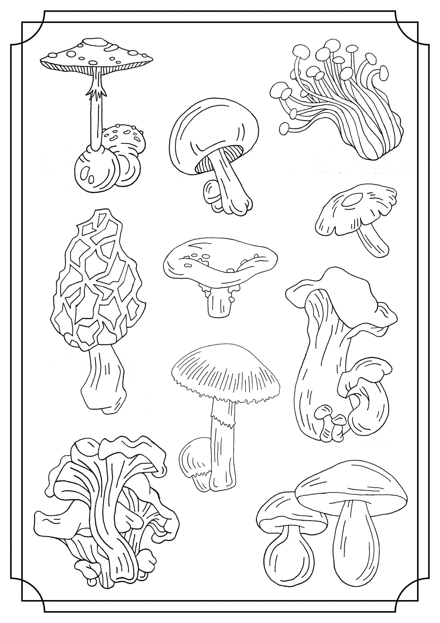 Free Printable Mushroom Coloring Pages Free Templates Printable