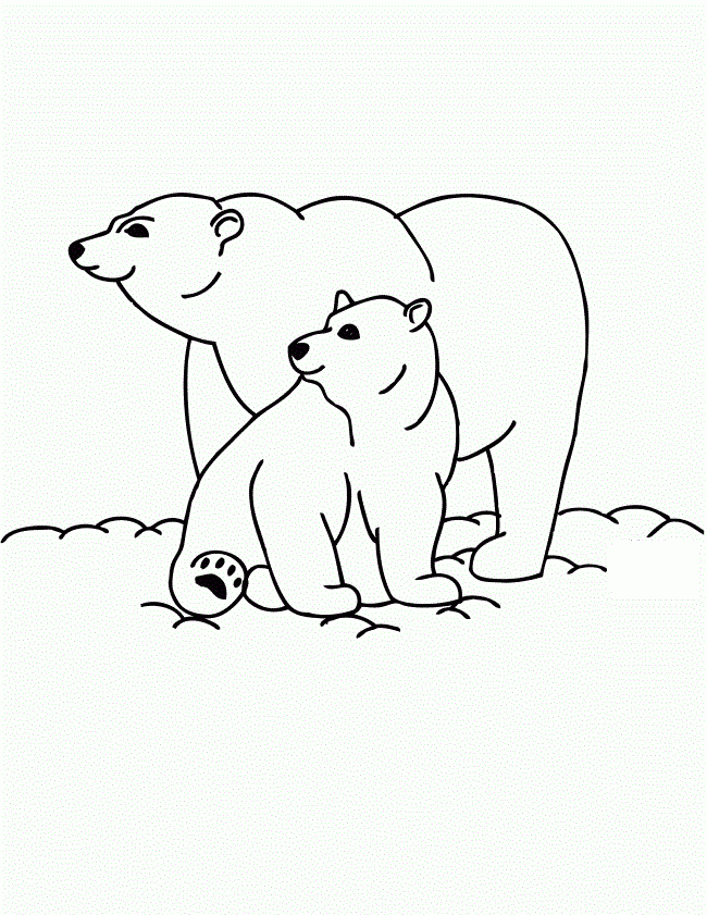 Free Printable Polar Bear Coloring Pages For Kids
