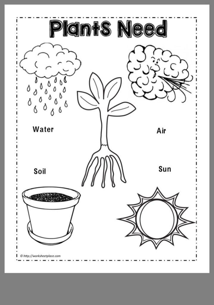 Free Printable Preschool Science Worksheets Printable Worksheets