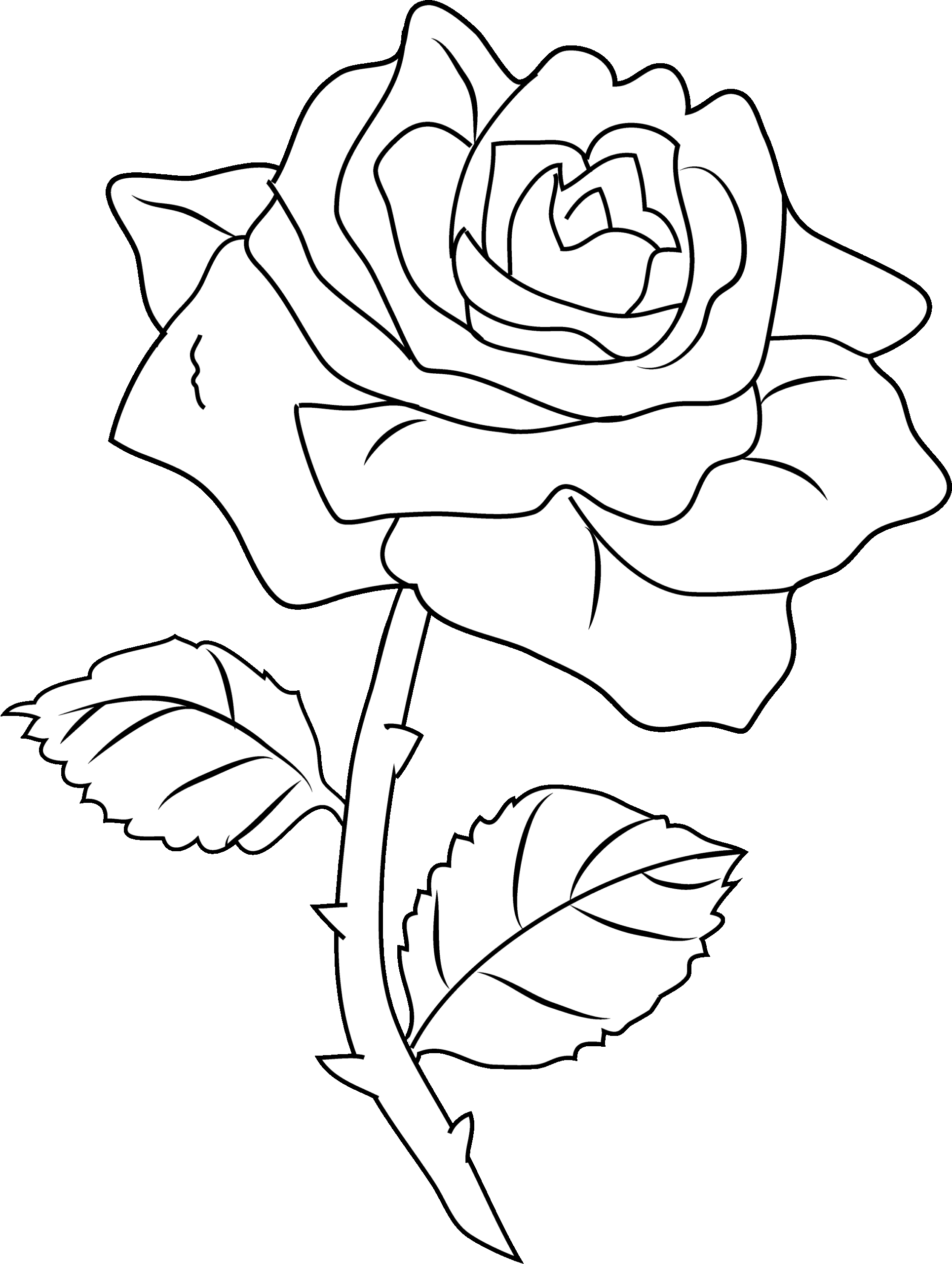 Free Printable Rose Coloring Pages