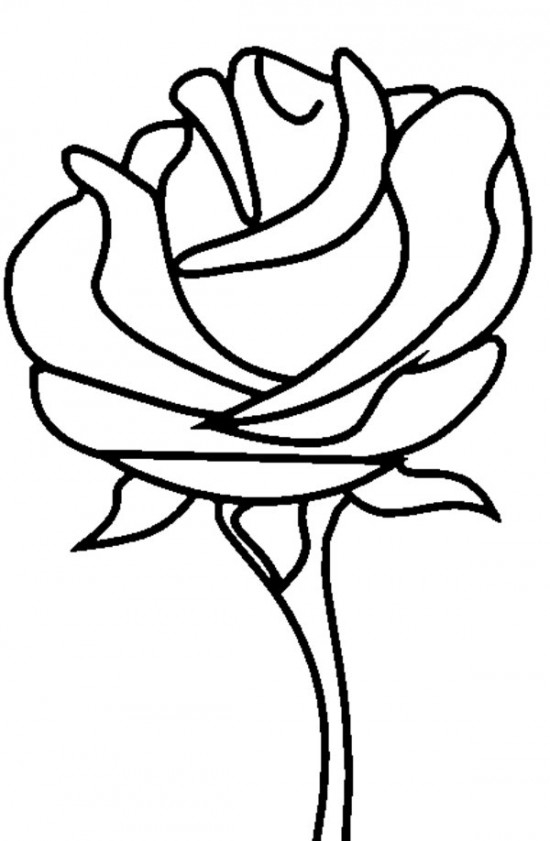 free printable rose pictures to color
