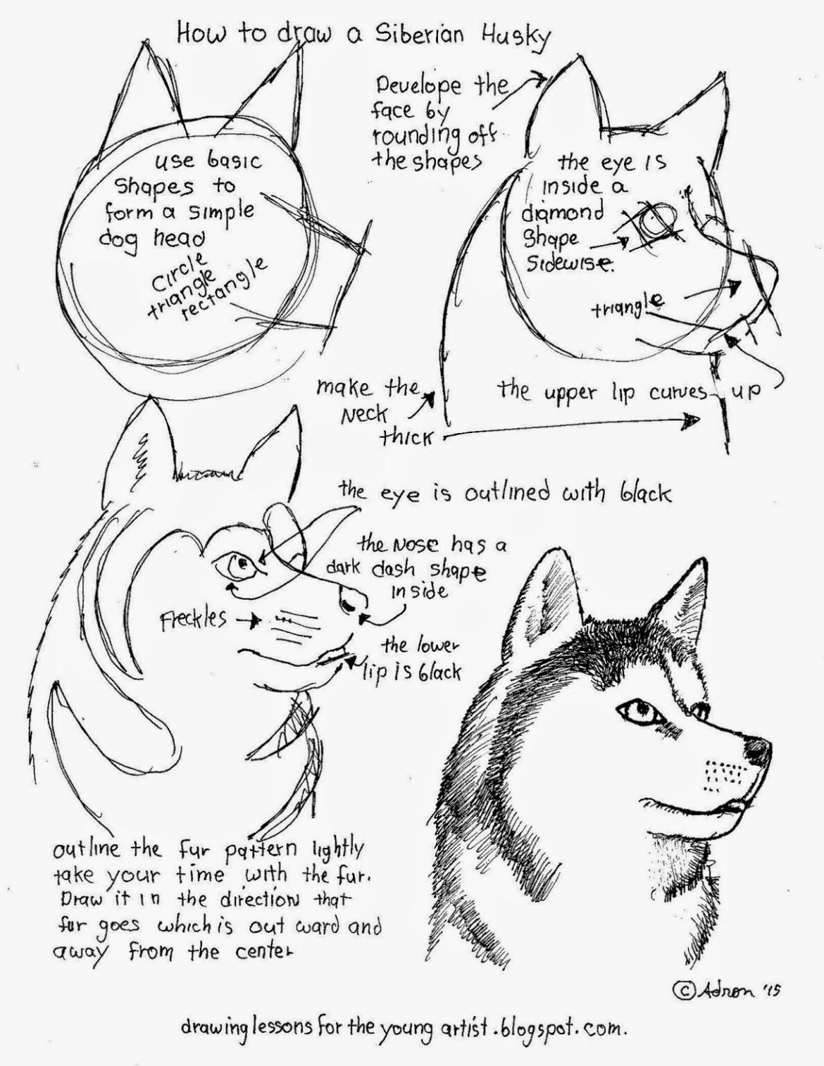 Free Printable Scale Drawing Worksheets Printable Worksheets