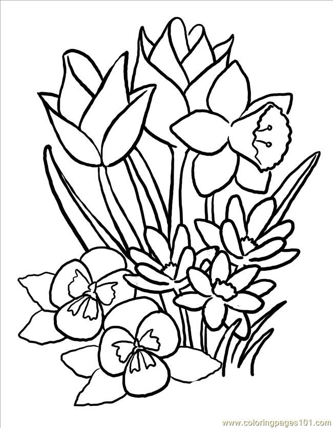 Free Printable Spring Flowers Coloring Pages Coloring Home