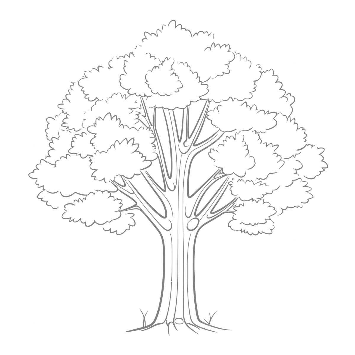 Free Printable Tree Coloring Pages Christmas Tree Coloring Pages