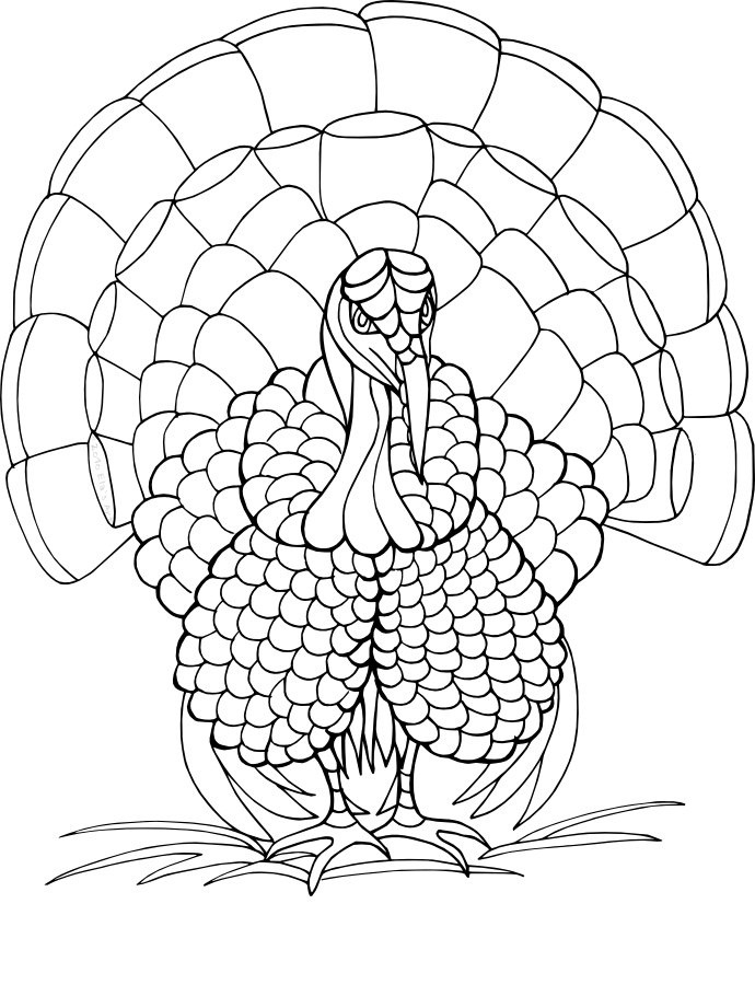 Turkey Coloring Pages Colored