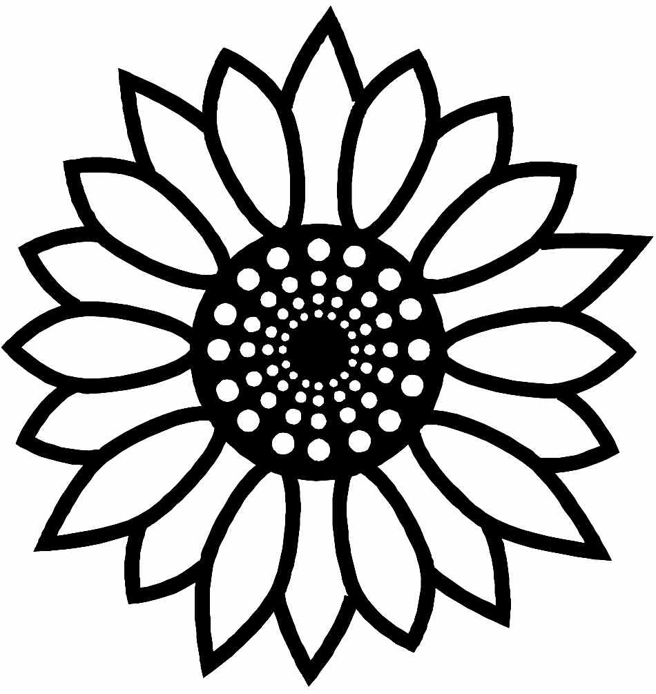 Free Sunflower Color Page Printable Download Free Sunflower Color Page