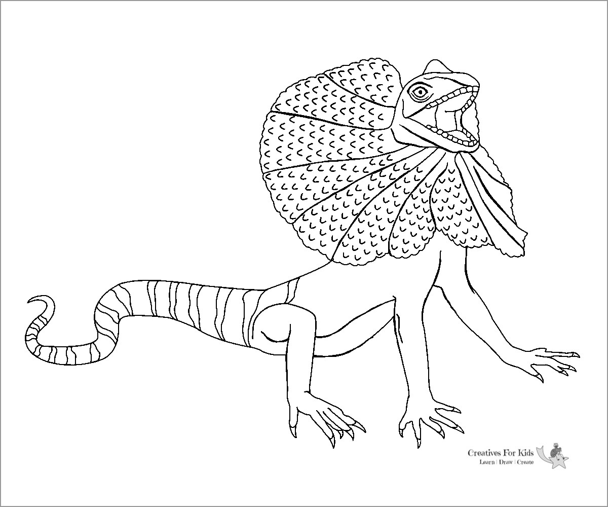 Frilled Lizard Coloring Page For Kids ColoringBay