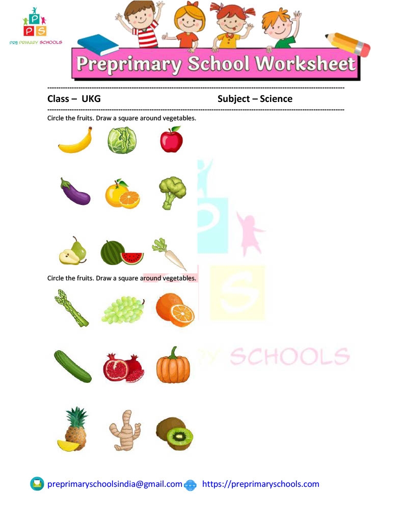 fruit or vegetable worksheet