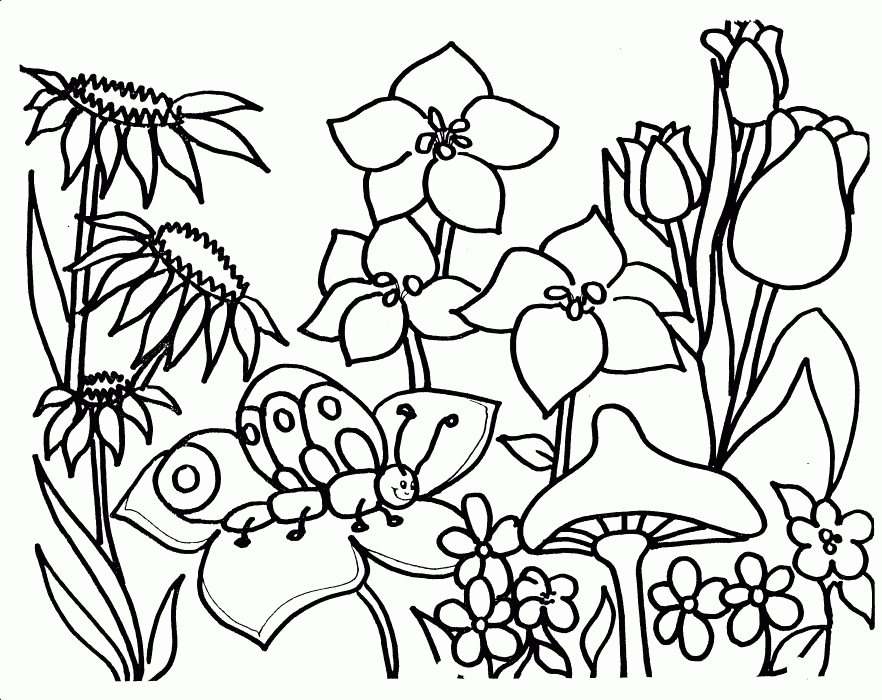 Garden Coloring Sheets Coloring Home