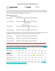 Gene Mutation Worksheet 2020 1 docx GENE MUTATIONS WORKSHEET 