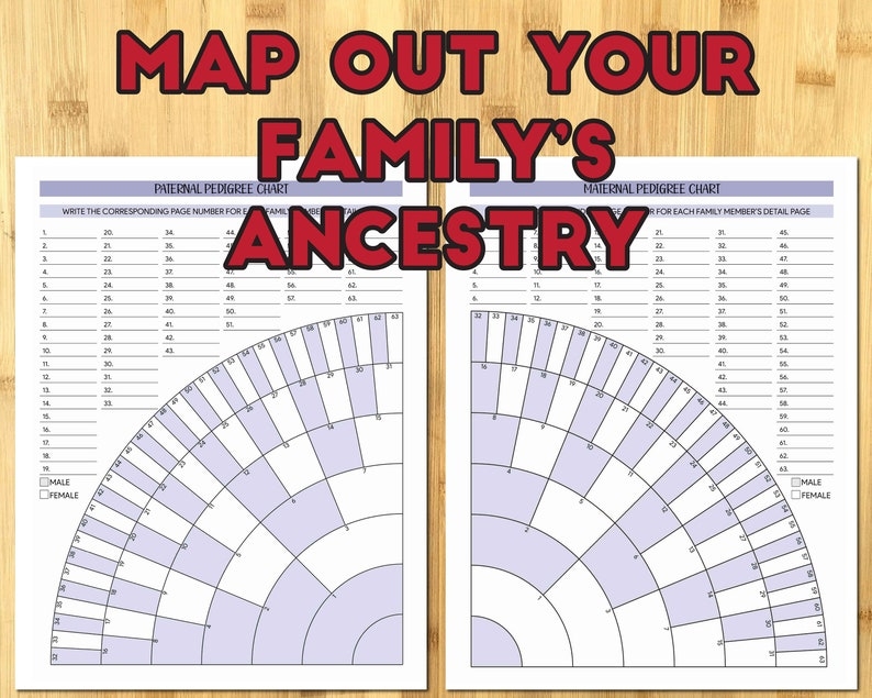 Genealogy Worksheet Organizer Ancestry Planner Chart Descendant Chart 