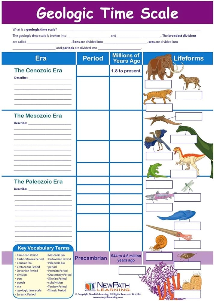 Geologic Time Scale Activity Live Worksheets Worksheets Library