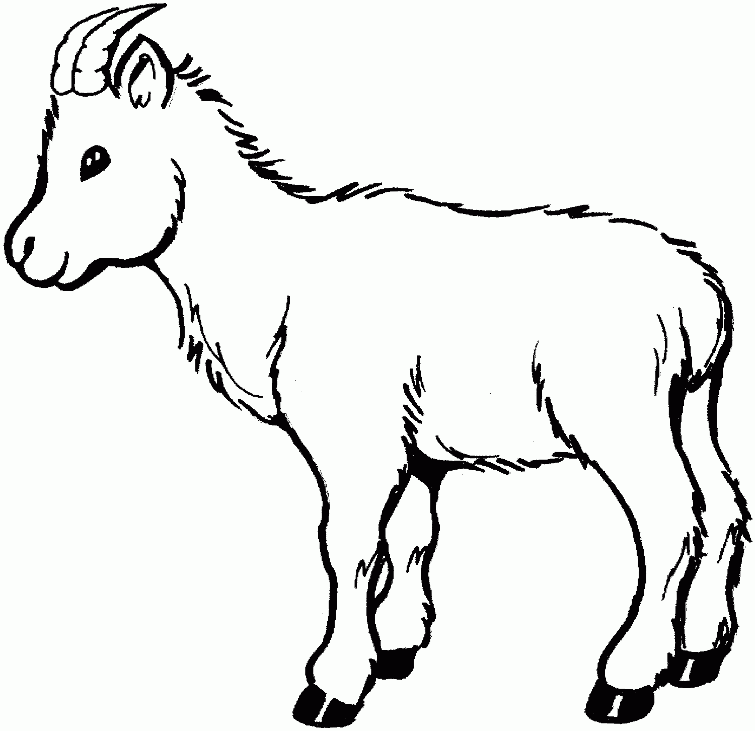 Goat Coloring Pages ClipArt Best