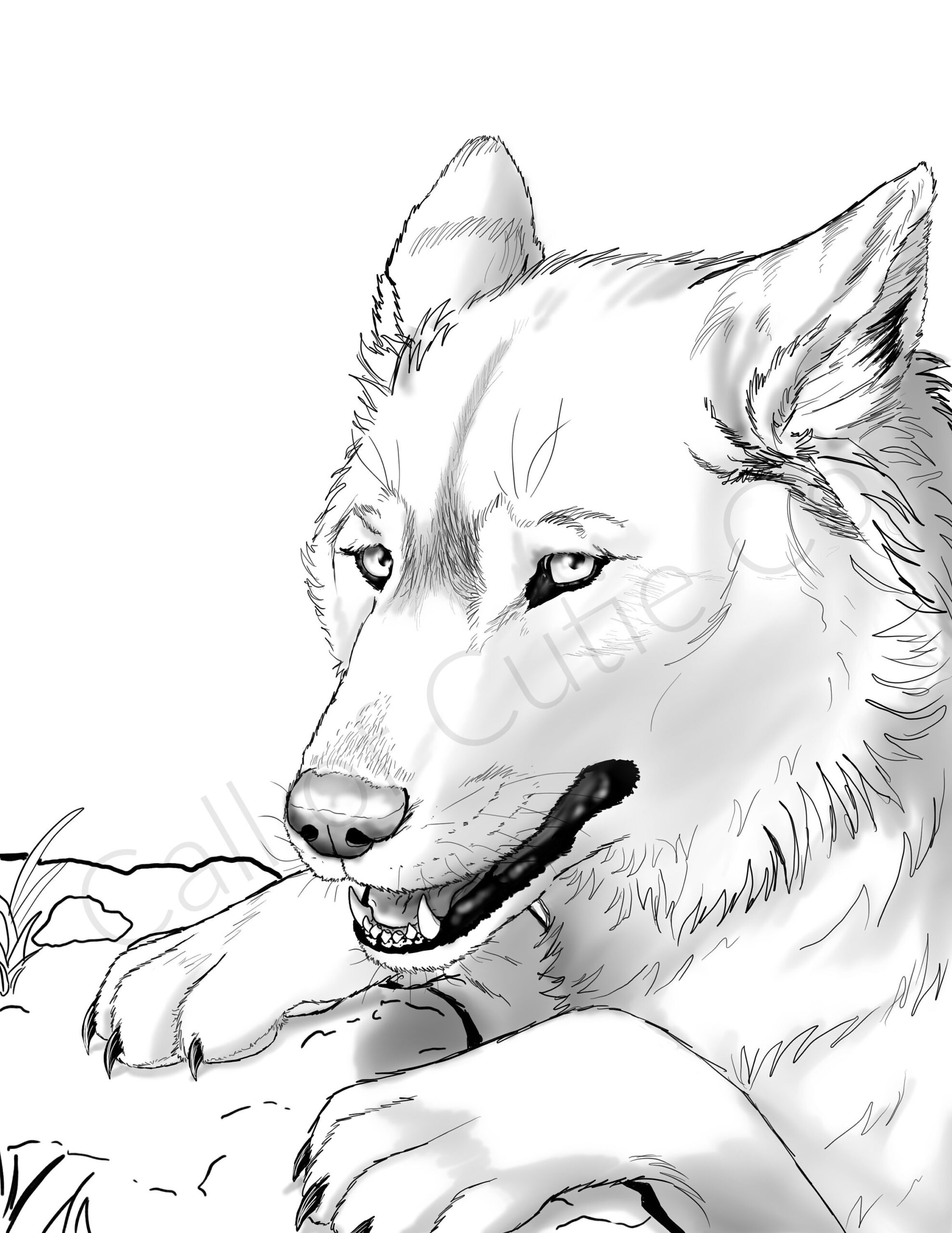 Gray Wolf Color Page digital Wolf Coloring Pages animal Coloring Pages