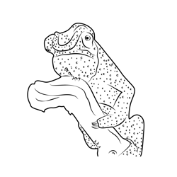 Green Chameleon Coloring Page For Kids Free Chameleons Printable 