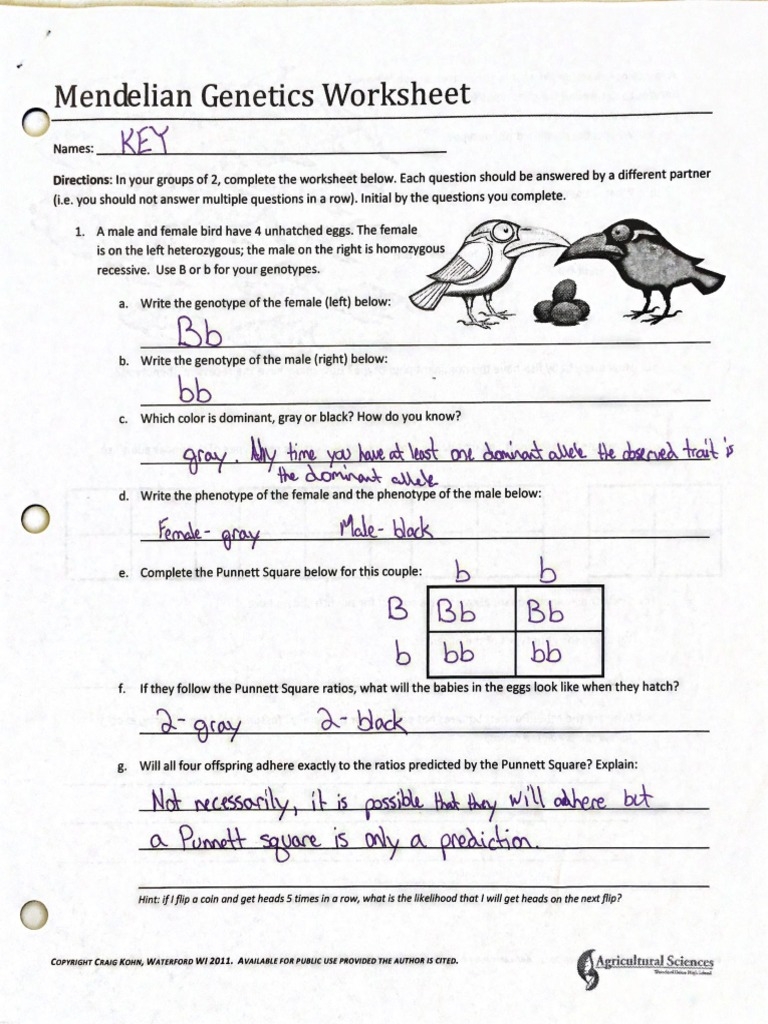 Gregor Mendel And Genetics Worksheets Answer Key Fill Online 
