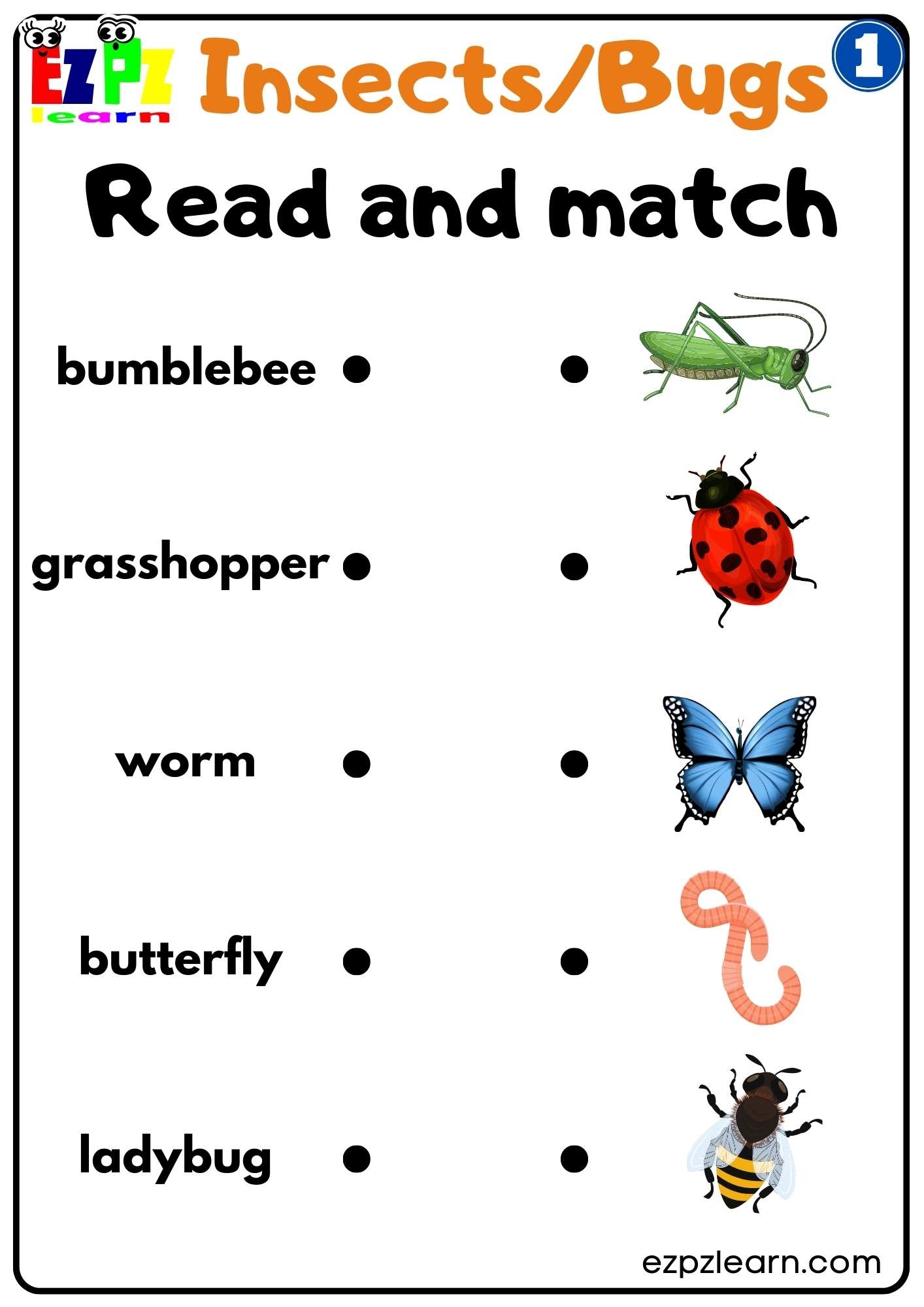 Group 1 Insects And Bugs Read And Match Worksheet Free PDF 