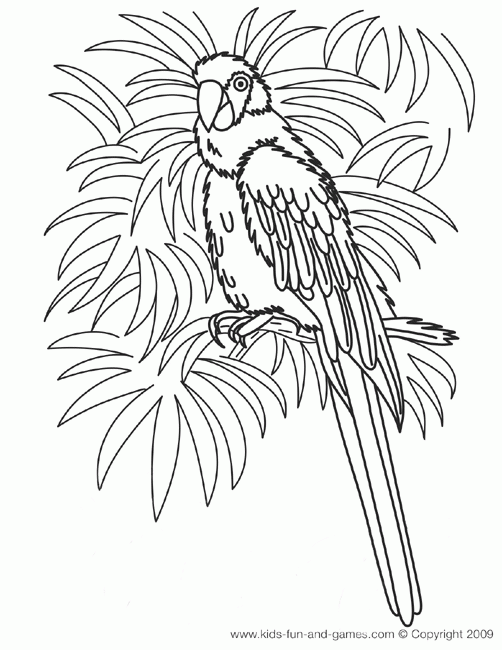Hawaiian Coloring Page Coloring Home