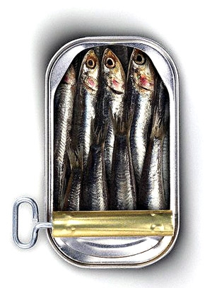 Home Shalom Sardines Simple Family Games