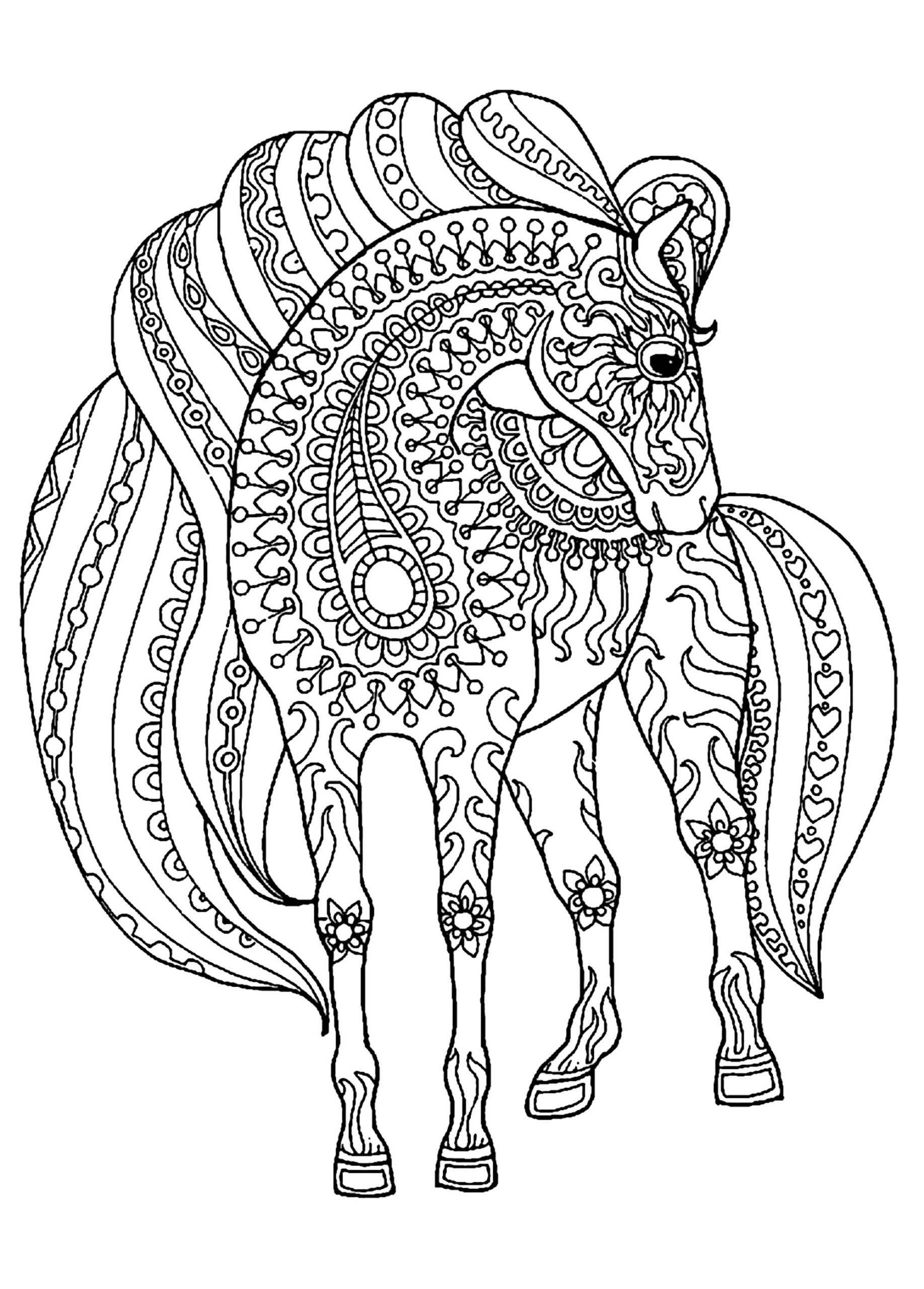 Horse Simple Zentangle Patterns Horses Coloring Pages For Adults