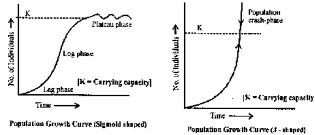 population growth worksheet