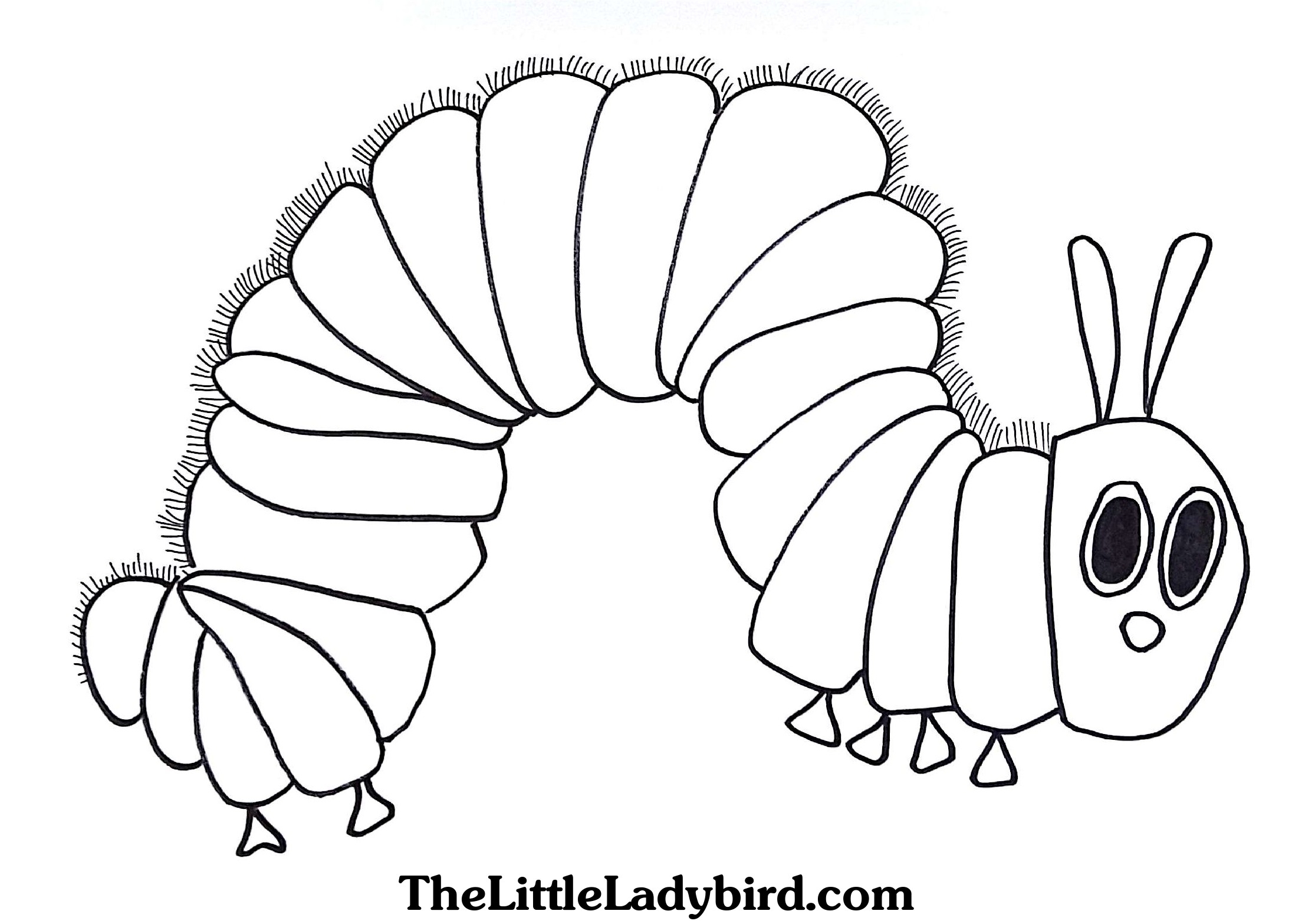Hungry Caterpillar Drawing At GetDrawings Free Download