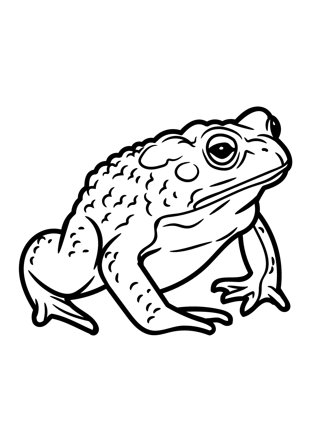 Images Toad Coloring Page Free Printable Coloring Pages