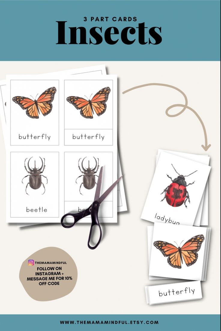 INSECT Nomenclature 3 Part Montessori Spring Flash Cards Printable PDF