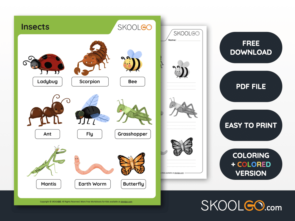 Insects Free Worksheet SKOOLGO