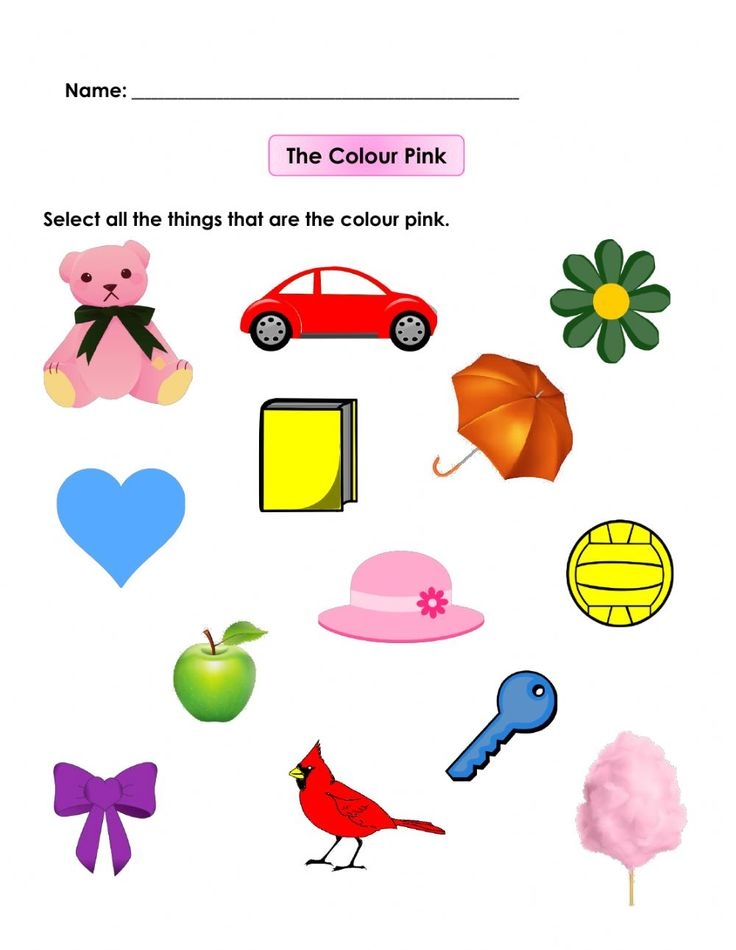 Interactive Pink Worksheet For Describing Items