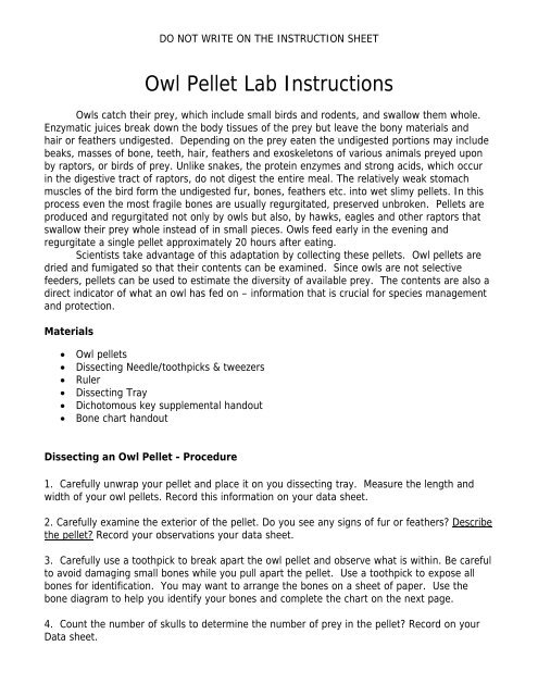 Investigation Owl Pellets Worksheets Library