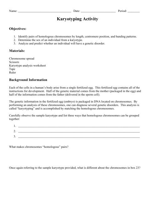 karyotype worksheet