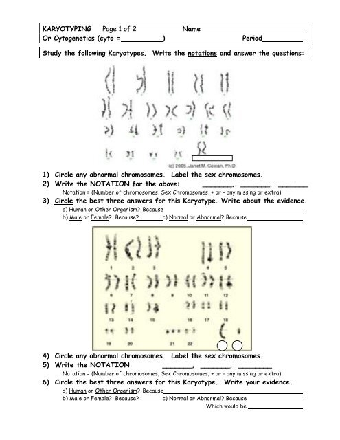 Karyotyping Worksheet Worksheets Library