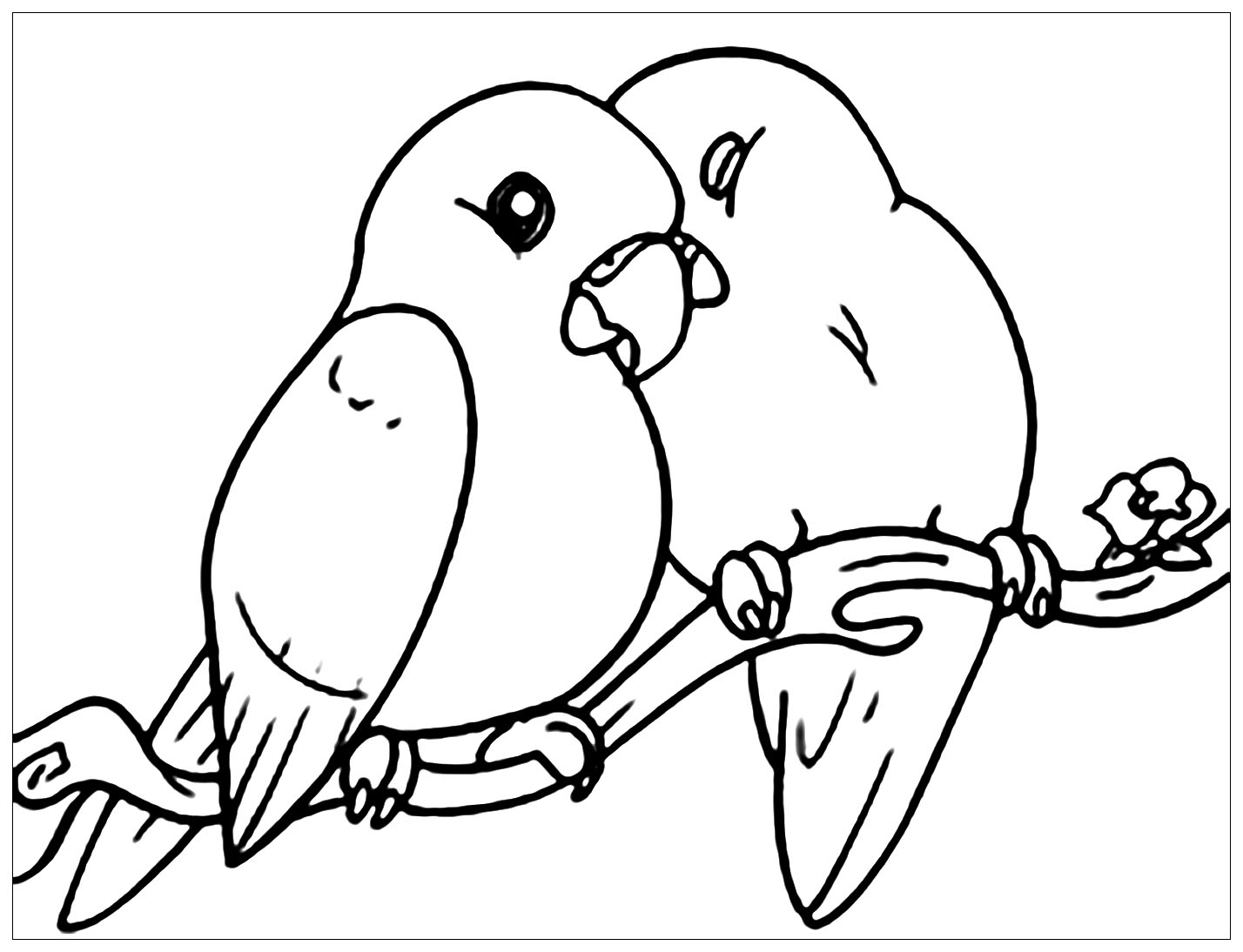 printable pictures of birds to color