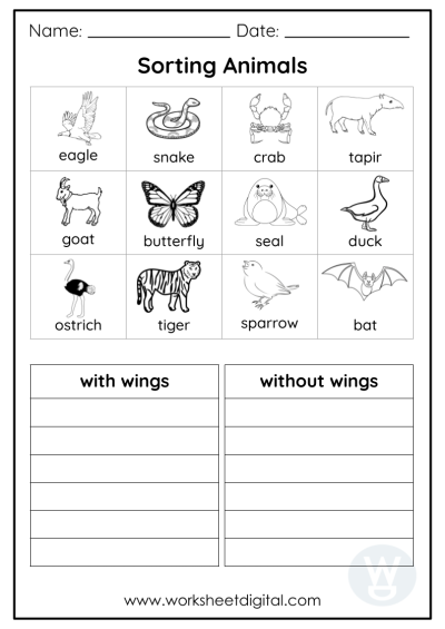 Kindergarten Science Worksheet Digital Worksheets Library
