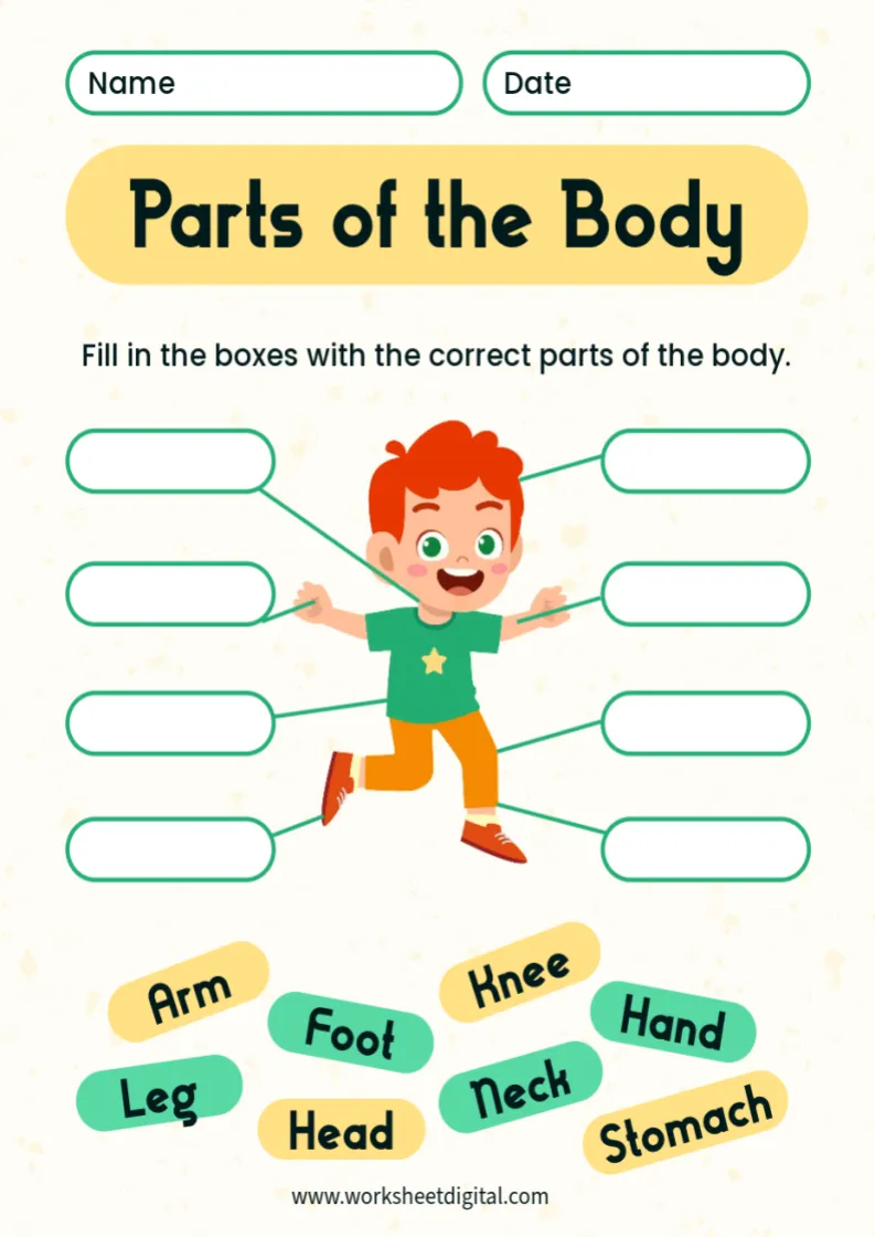 Kindergarten Science Worksheet Digital Worksheets Library