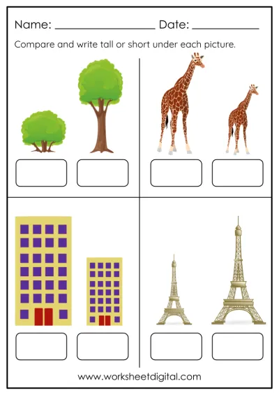 Kindergarten Science Worksheet Digital Worksheets Library