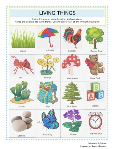 Kindergarten Science Worksheets Edform Worksheets Library
